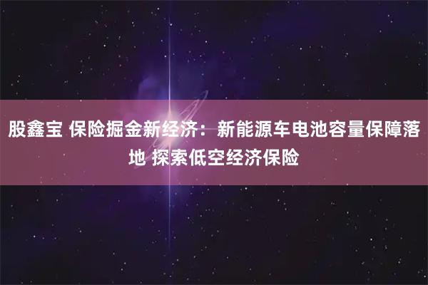 股鑫宝 保险掘金新经济：新能源车电池容量保障落地 探索低空经济保险