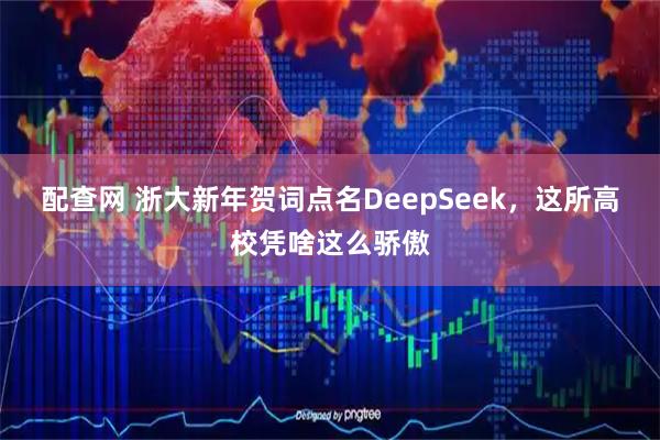 配查网 浙大新年贺词点名DeepSeek，这所高校凭啥这么骄傲
